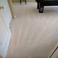 Eco Green Steam Carpet Cleaning image 5